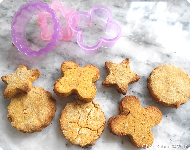 Dog cookies 053